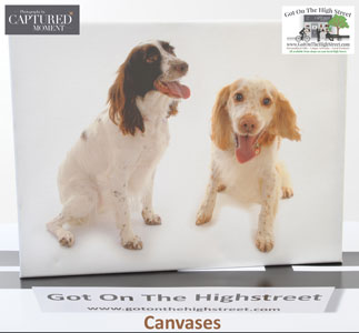 Canvas Printing